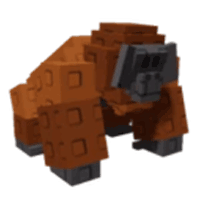 Orangutan