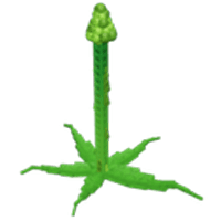 Tall Asparagus