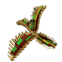 Taco Fern