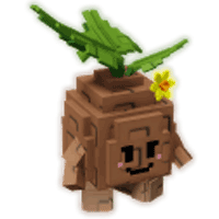 Seedling