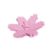 Cherry Blossom