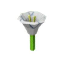 Moonflower