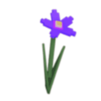 Nightshade