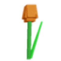 Orange Tulip